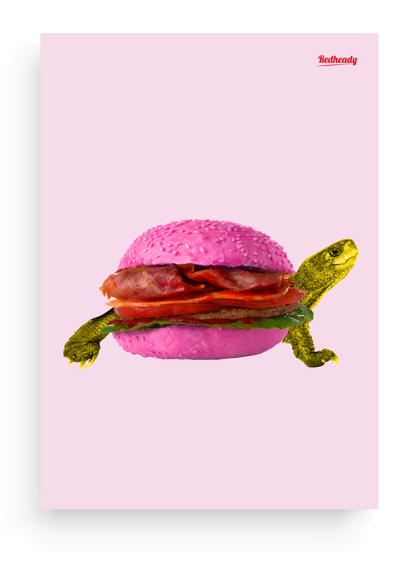 hamburger schildpad poster 