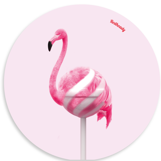 Muurcirkel - Flamingolly
