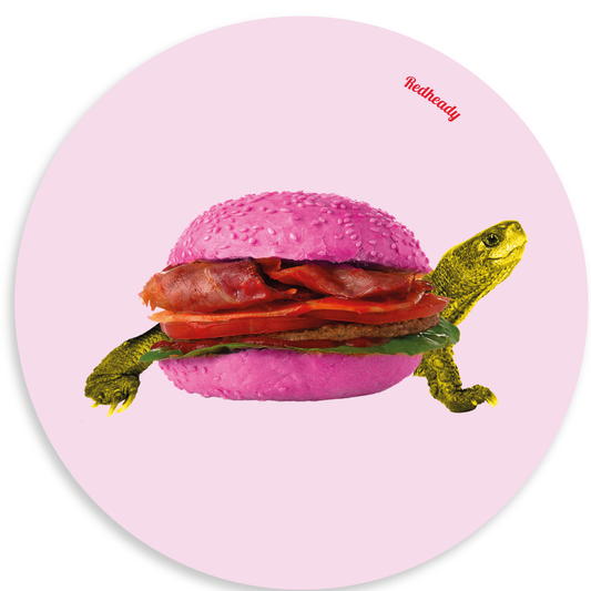 Muurcirkel - Burger turtle