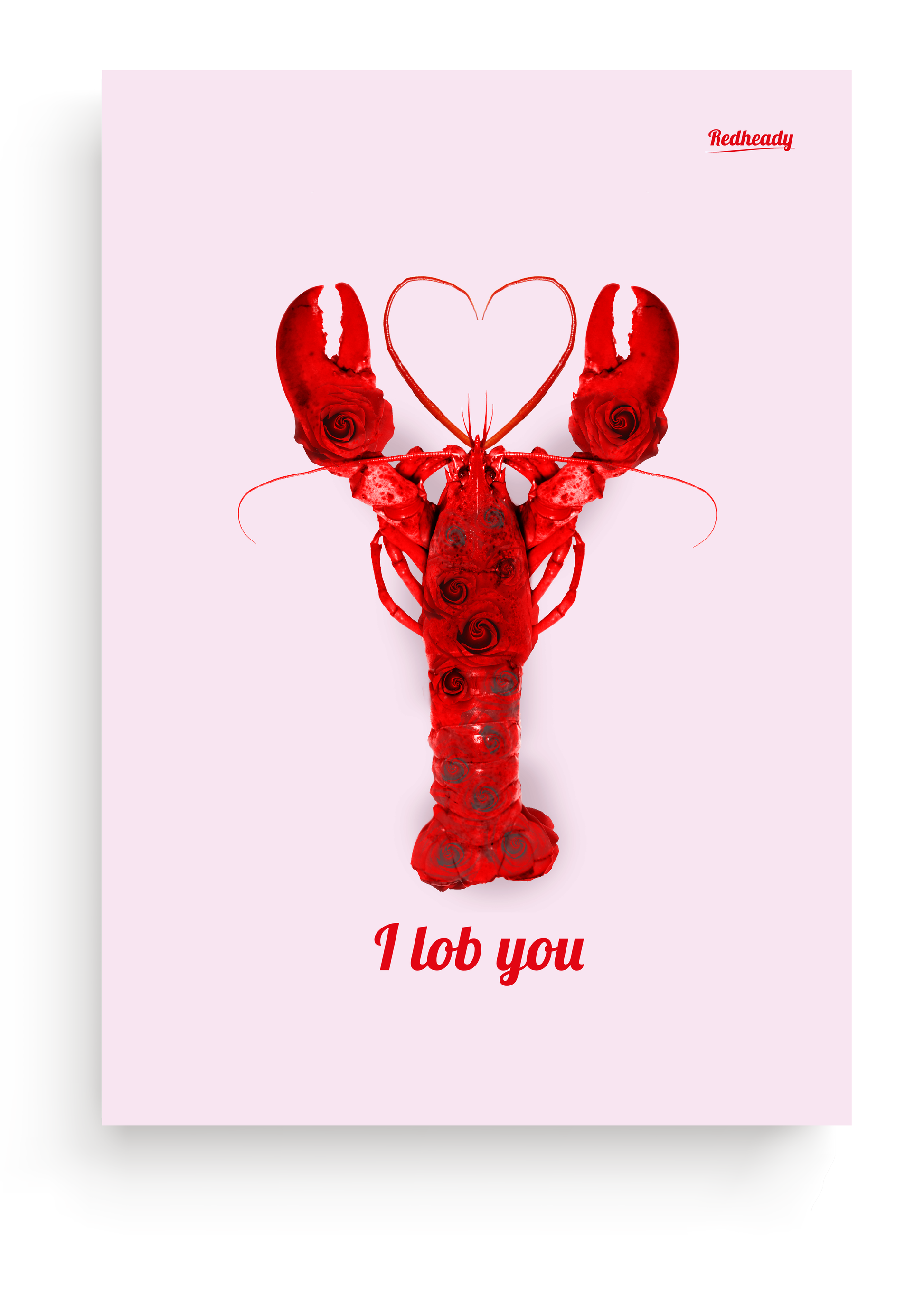 kreeft / lobster poster 